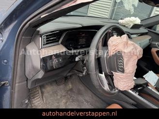 Audi Q8 e-tron 55 Quattro S line Panorama picture 16