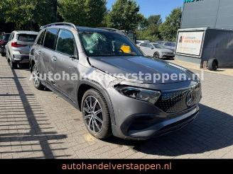 Voiture accidenté Mercedes EQB 250+ AMG Sport Pano Burm 71KWH VOLL 2024/9
