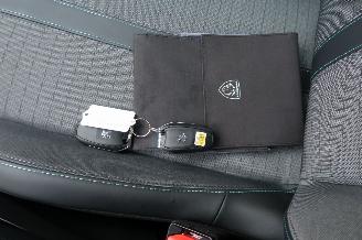Peugeot 208 EV Allure Pack 50 KWh picture 15