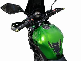 Kawasaki Versys  picture 13