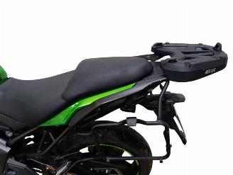 Kawasaki Versys  picture 16