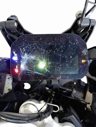 BMW  F 900XR picture 10