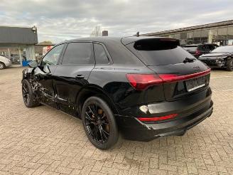 Audi E-tron 50 quattro S line *HEAD-UP - NAVI - KAM* picture 11