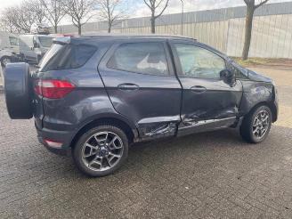 Ford EcoSport EcoSport (JK8), SUV, 2013 1.0 EcoBoost 12V 125 picture 7