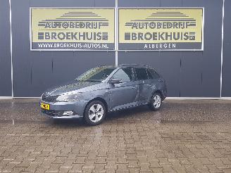 krockskadad bil auto Skoda Fabia Combi 1.0 TSI Clever 2018/6