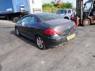 Peugeot 307 CC 1.6 picture 2