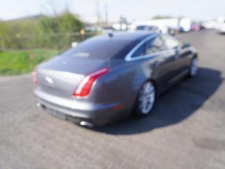 Vrakbiler auto Jaguar XJ 3.0 D 2016/1