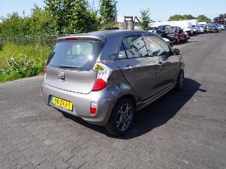 disassembly passenger cars Kia Picanto 1.0 12v 2013/2