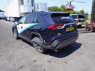 Toyota Rav-4 2.5 Hybrid picture 2