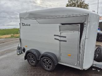 Cheval Liberte Debon  picture 5