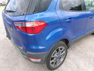 Ford EcoSport 1.0 Titanium picture 10