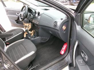 Dacia Sandero 09 Stepway - Rainbow picture 28