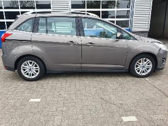 Ford Grand C-Max 1.0 Titanium 7persoons picture 8
