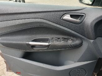 Ford Grand C-Max 1.0 Titanium 7persoons picture 16