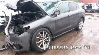 Alfa Romeo Stelvio Stelvio (949), SUV, 2017 2.0 T 16V Q4 picture 12