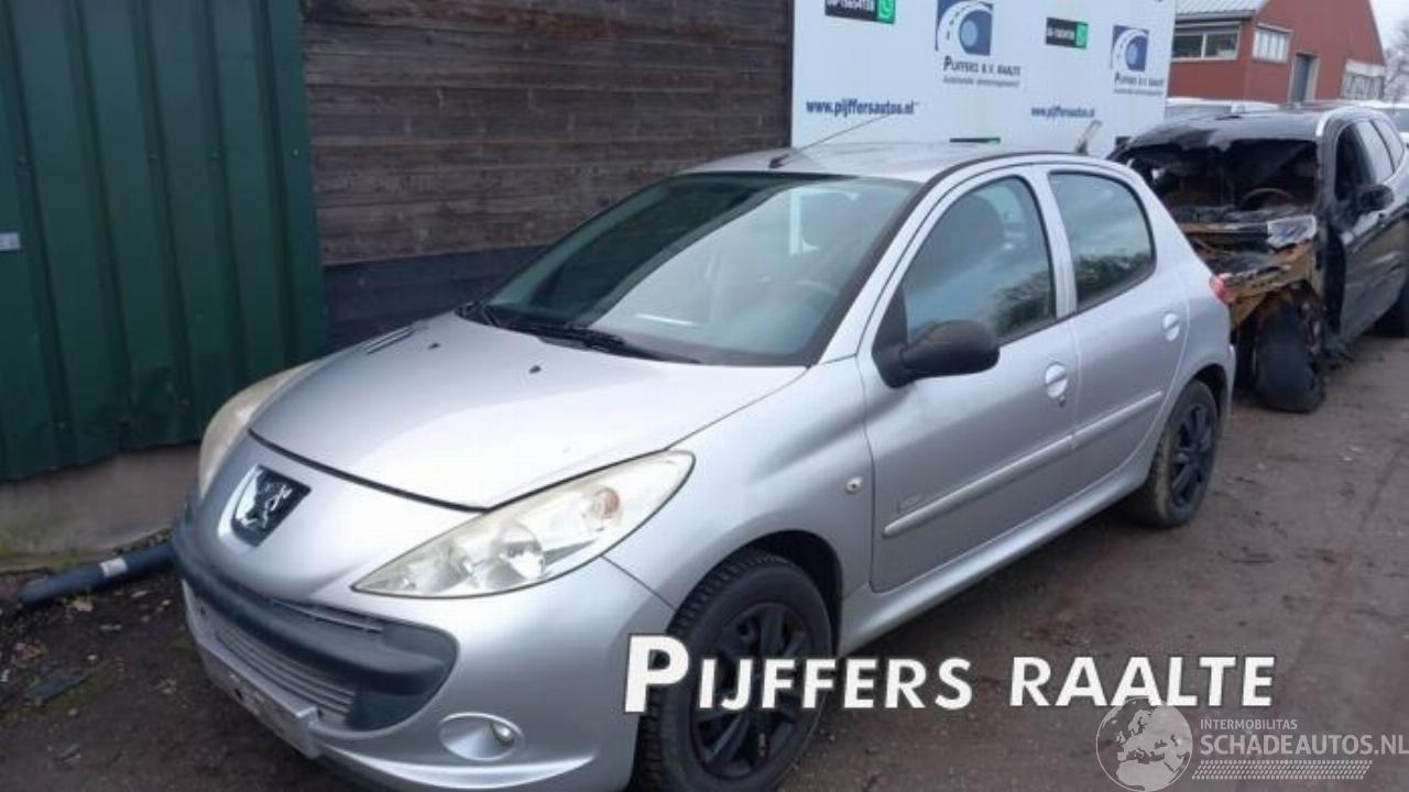 Peugeot 206 206+ (2L/M), Hatchback, 2009 / 2013 1.4 XS