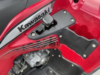 Kawasaki KVF 300  picture 7