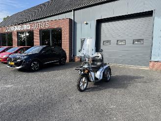 skadebil overig Overige  Kyburz DXP 5.0  825 EURO EX BTW 2020/6