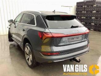 Audi E-tron E-tron (GEN), SUV, 2018 55 quattro picture 2