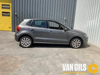 Volkswagen Polo Polo V (6R), Hatchback, 2009 / 2017 1.4 16V picture 5