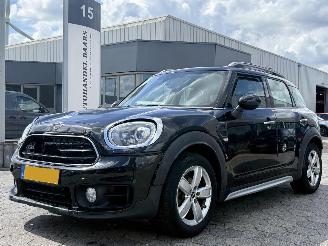 skadebil auto Mini Countryman 1.5 AUTOM Cooper  Edition AUTOMAAT 2019/5