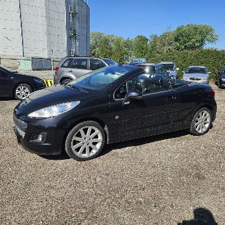 Peugeot 207 1.6 VTi cabrio Roland Garros AIRCO picture 5