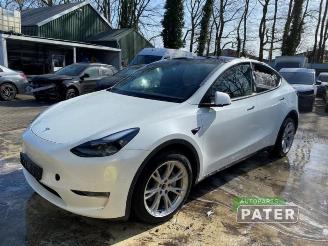 Uttjänta bilar auto Tesla Model Y Model Y (5YJY), SUV, 2019 Long Range,Performance 2023/11