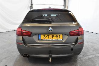 BMW 5-serie 525d Luxury Edition picture 6