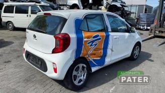 Kia Picanto Picanto (JA), Hatchback, 2017 1.0 DPi 12V picture 10