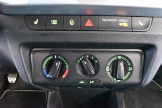 Skoda Fabia  picture 29