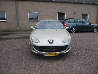 Peugeot 407 2.2-16v Reference picture 2