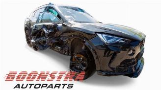 Cupra Formentor Formentor, SUV, 2020 1.4 e-Hybrid VZ 16V picture 7