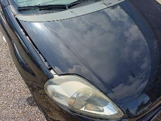 Fiat Punto Evo 1.3 MultiJet Sempre picture 2