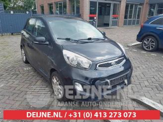 Kia Picanto Picanto (TA), Hatchback, 2011 / 2017 1.2 16V picture 1
