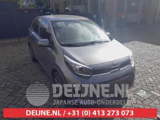 Uttjänta bilar auto Kia Picanto Picanto (JA), Hatchback, 2017 1.0 DPi 12V 2021/3