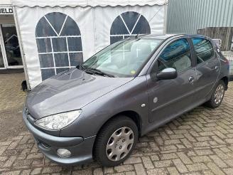 Peugeot 206 206 (2A/C/H/J/S), Hatchback, 1998 / 2012 1.4 XR,XS,XT,Gentry picture 3