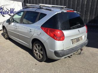 Peugeot 207 SW picture 1