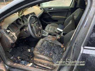 Volkswagen Golf Golf VII (AUA), Hatchback, 2012 / 2021 1.4 TSI 16V picture 8