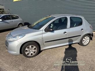 Peugeot 206 206+ (2L/M), Hatchback, 2009 / 2013 1.1 XR,XS picture 2
