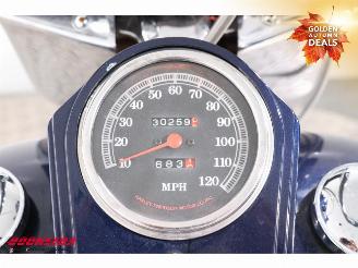 Harley-Davidson  FLSTF Fat Boy picture 10