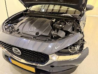 Mazda CX-30 2.0 E-Skyactiv X MHEV Luxury picture 34