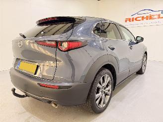 Mazda CX-30 2.0 E-Skyactiv X MHEV Luxury picture 6
