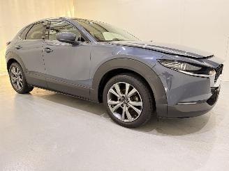 Mazda CX-30 2.0 E-Skyactiv X MHEV Luxury picture 41