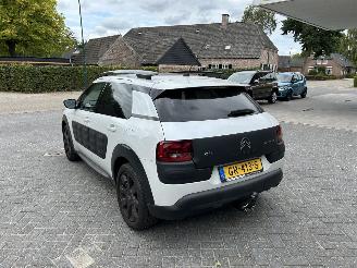 Citroën C4 cactus 1.2 Pure Tech Shine picture 7