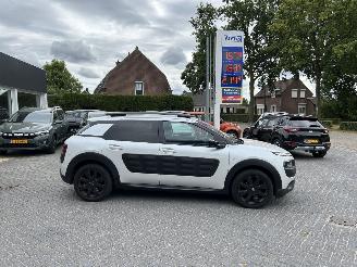 Citroën C4 cactus 1.2 Pure Tech Shine picture 1