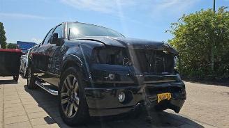 Auto da rottamare Ford USA F-150 F-150, Pick-up, 2003 / 2008 5.4 V8 4x4 2006/5