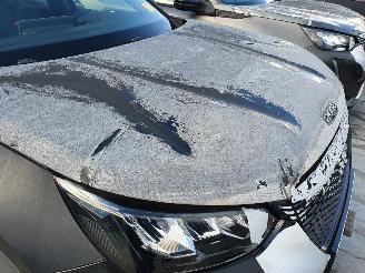 Peugeot 2008 P24E 1.2P Aut picture 48