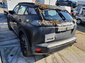 Peugeot 2008 P24E 1.2P Aut picture 4