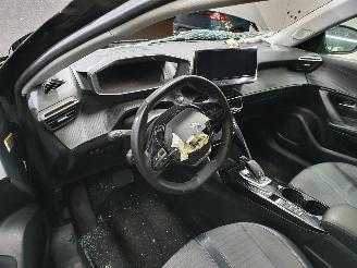 Peugeot 2008 P24E 1.2 PT Business Line Allure picture 15