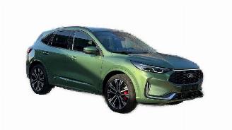 Ford Kuga ST-Line X picture 1